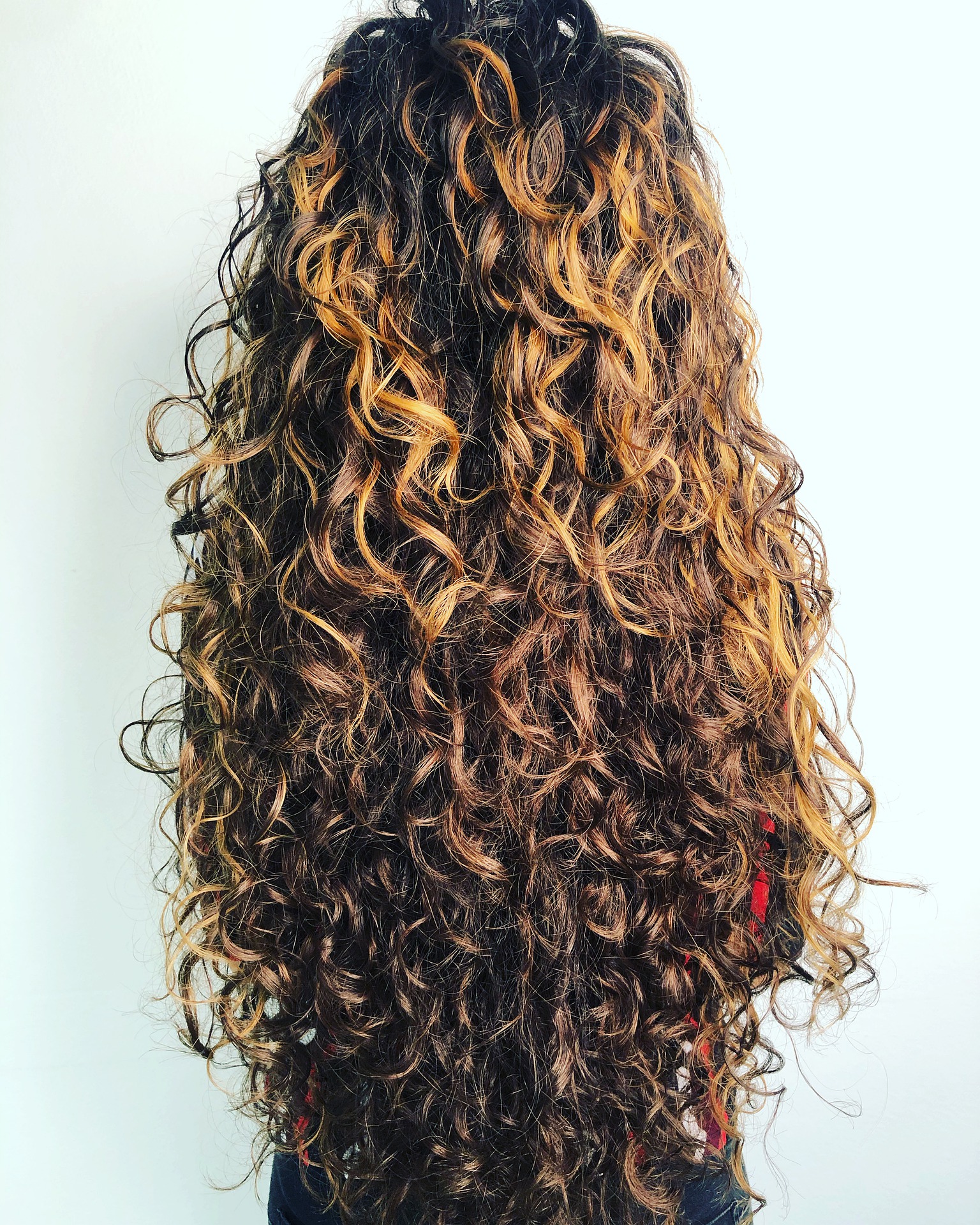 curly-5341879_1920